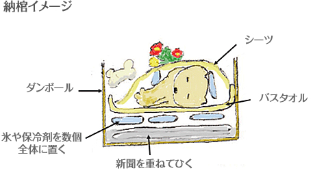 納棺イメージ